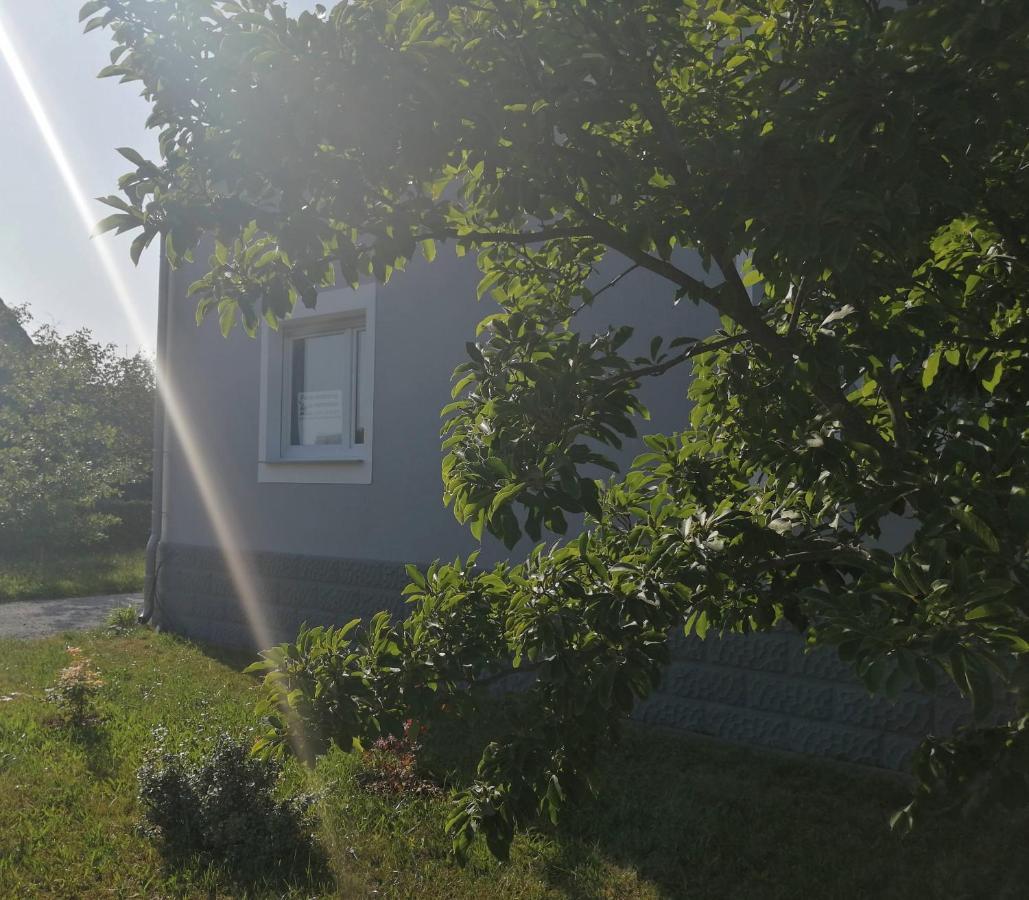 Ferienhaus Niesky Buitenkant foto